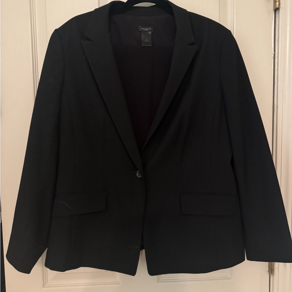 Ann Taylor Navy Pantsuit